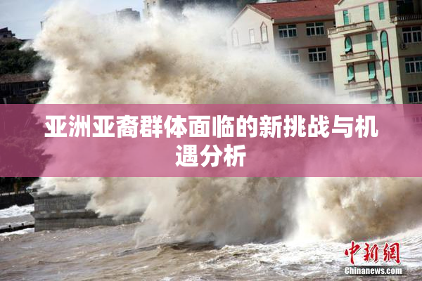 亚洲亚裔群体面临的新挑战与机遇分析