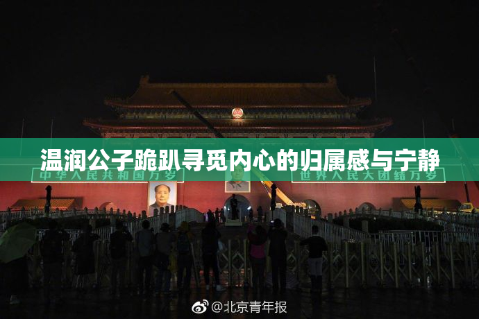 温润公子跪趴寻觅内心的归属感与宁静