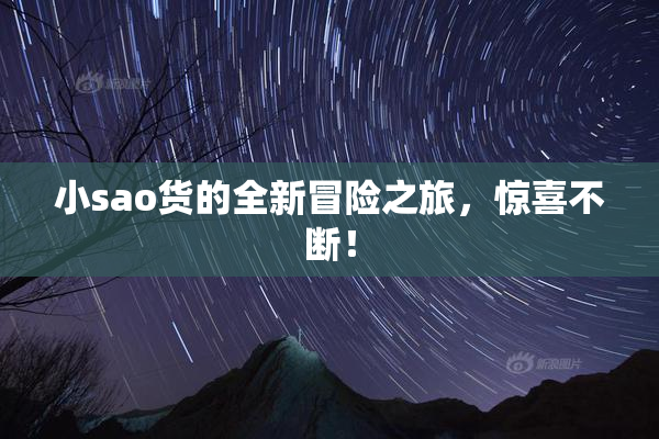 小sao货的全新冒险之旅，惊喜不断！