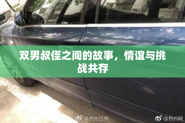 双男叔侄之间的故事，情谊与挑战共存