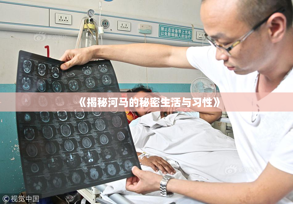 《揭秘河马的秘密生活与习性》