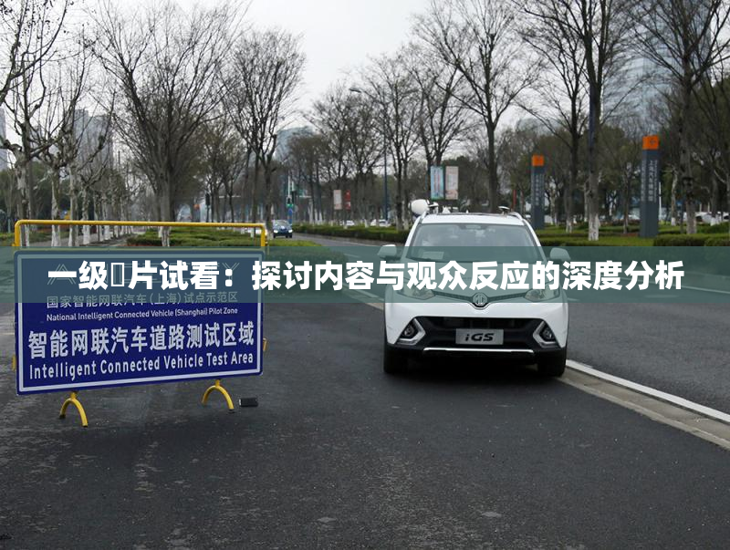 一级婬片试看：探讨内容与观众反应的深度分析
