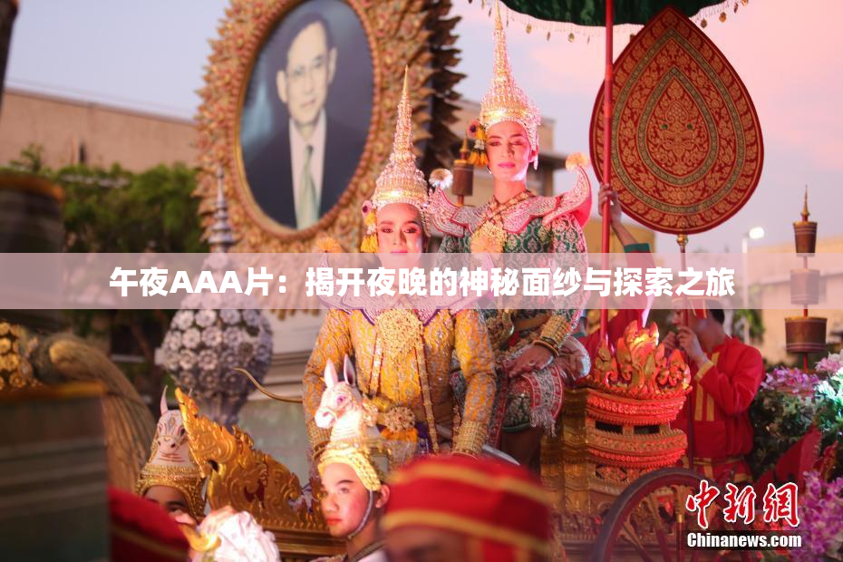 午夜AAA片：揭开夜晚的神秘面纱与探索之旅