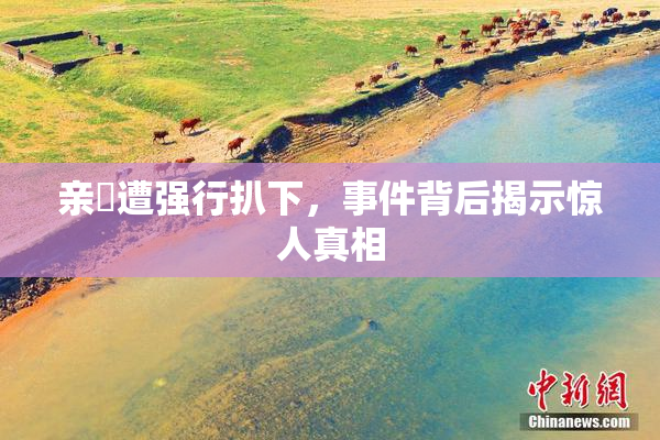亲妺遭强行扒下，事件背后揭示惊人真相