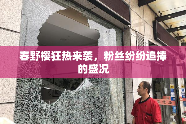 春野樱狂热来袭，粉丝纷纷追捧的盛况