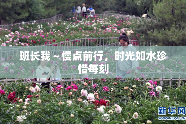 班长我～慢点前行，时光如水珍惜每刻