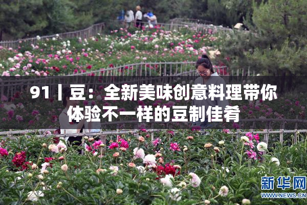 91丨豆：全新美味创意料理带你体验不一样的豆制佳肴