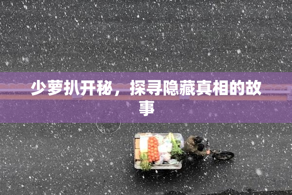 少萝扒开秘，探寻隐藏真相的故事