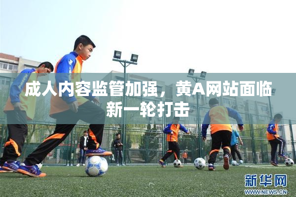 成人内容监管加强，黄A网站面临新一轮打击