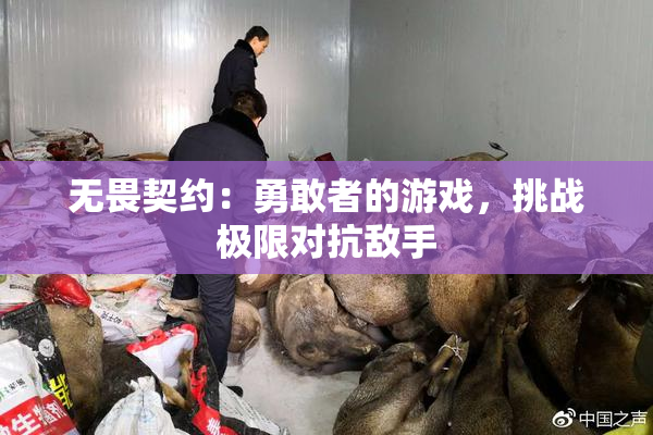 无畏契约：勇敢者的游戏，挑战极限对抗敌手