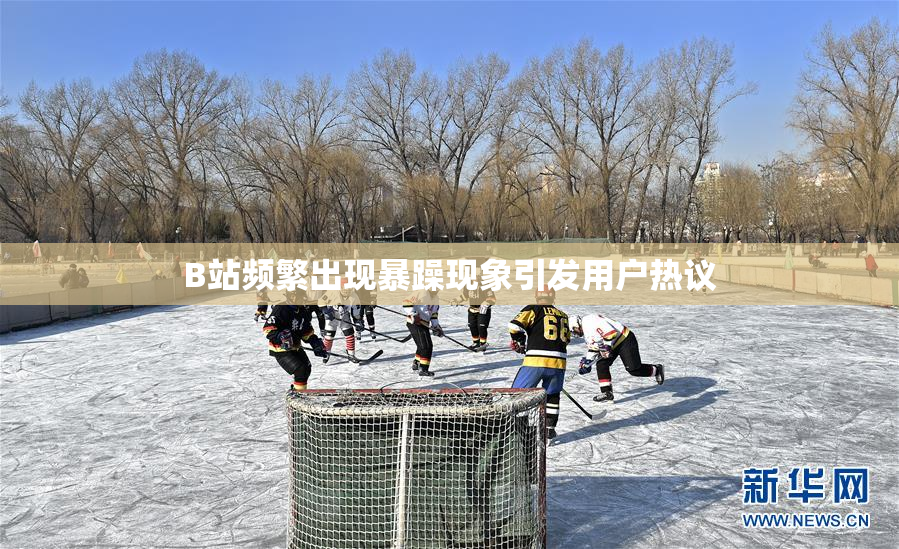 B站频繁出现暴躁现象引发用户热议