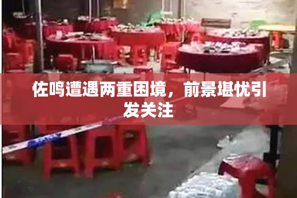 佐鸣遭遇两重困境，前景堪忧引发关注