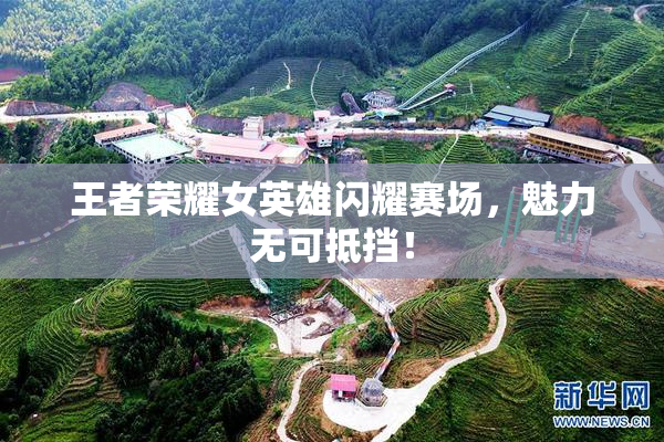 王者荣耀女英雄闪耀赛场，魅力无可抵挡！