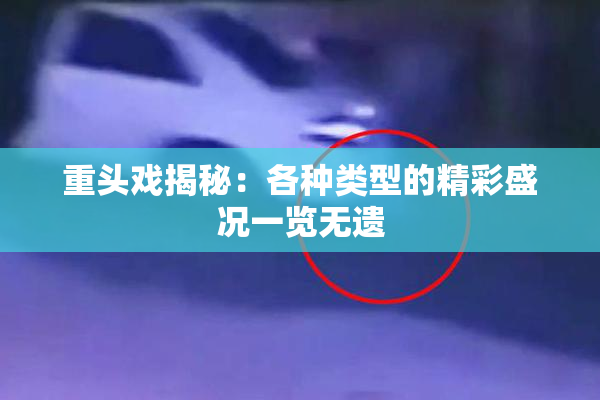 重头戏揭秘：各种类型的精彩盛况一览无遗