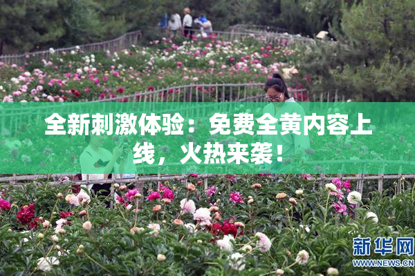 全新刺激体验：免费全黄内容上线，火热来袭！
