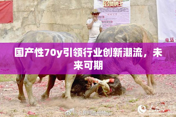 国产性70y引领行业创新潮流，未来可期