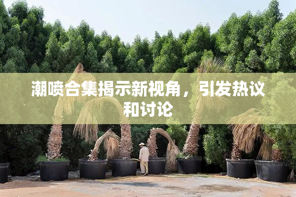 潮喷合集揭示新视角，引发热议和讨论