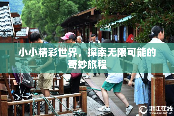 小小精彩世界，探索无限可能的奇妙旅程