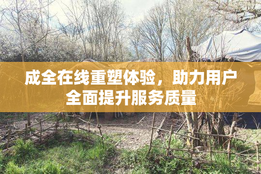 成全在线重塑体验，助力用户全面提升服务质量