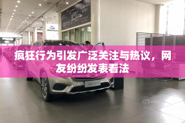 疯狂行为引发广泛关注与热议，网友纷纷发表看法