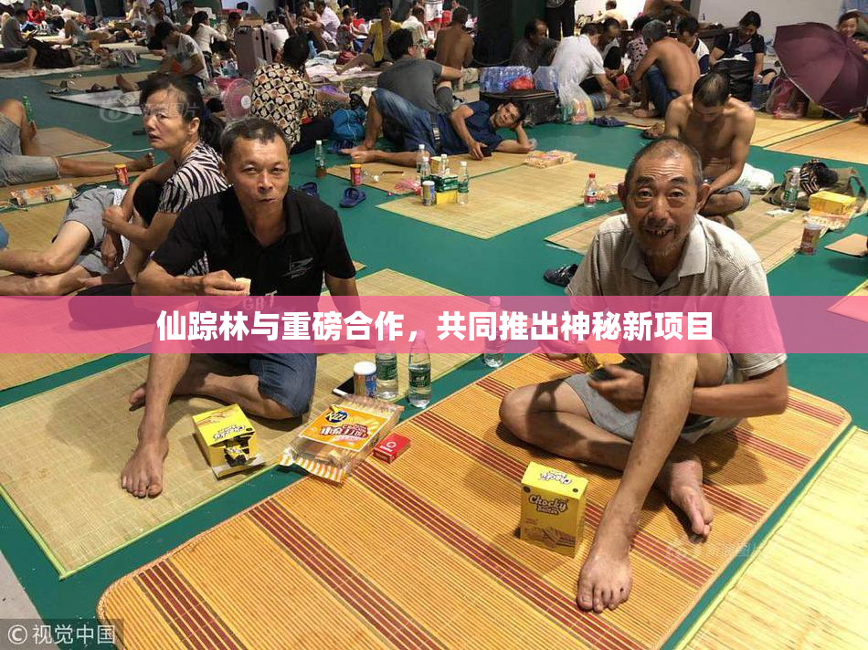 仙踪林与重磅合作，共同推出神秘新项目