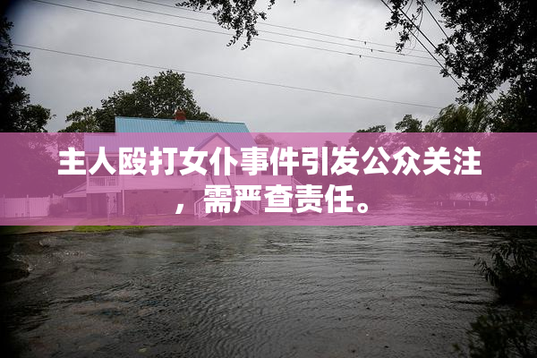 主人殴打女仆事件引发公众关注，需严查责任。