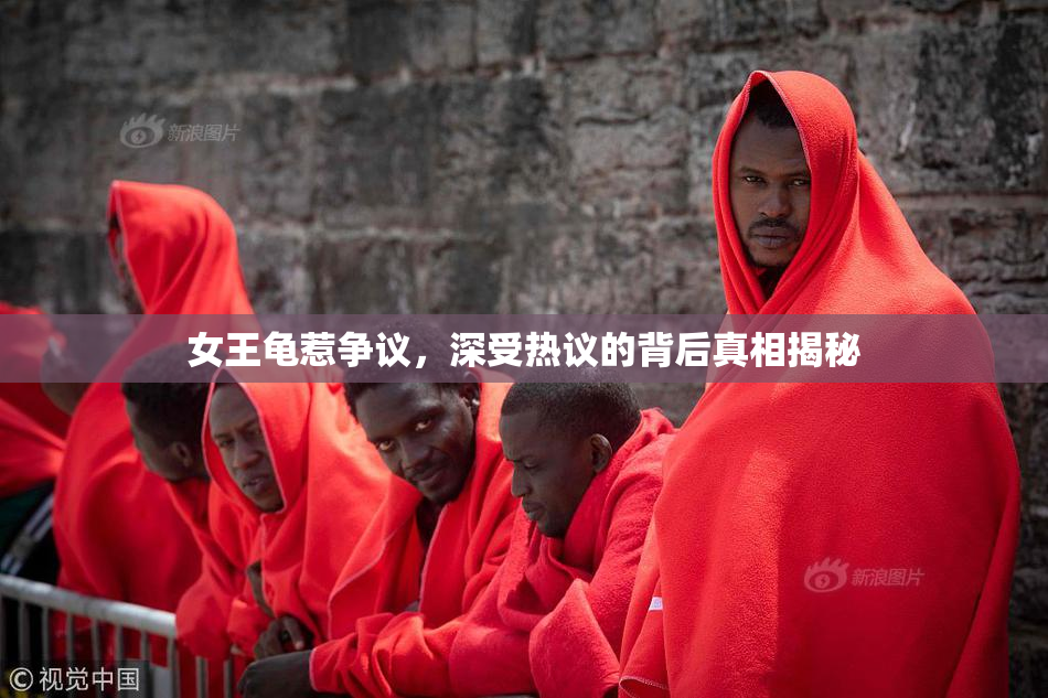 女王龟惹争议，深受热议的背后真相揭秘