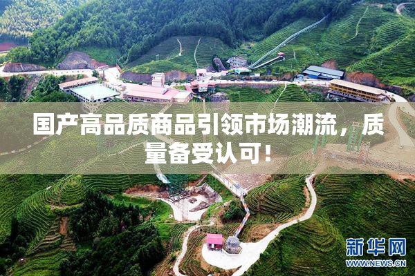 国产高品质商品引领市场潮流，质量备受认可！