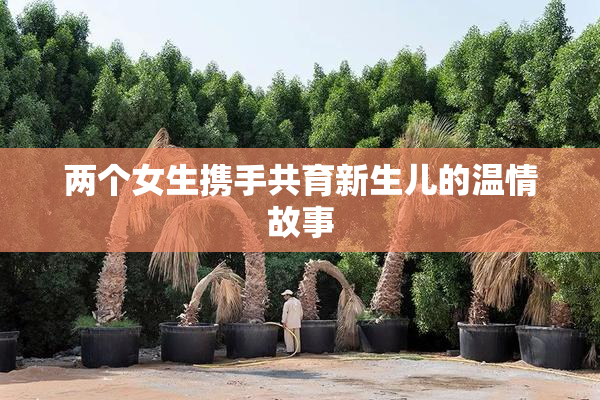 两个女生携手共育新生儿的温情故事