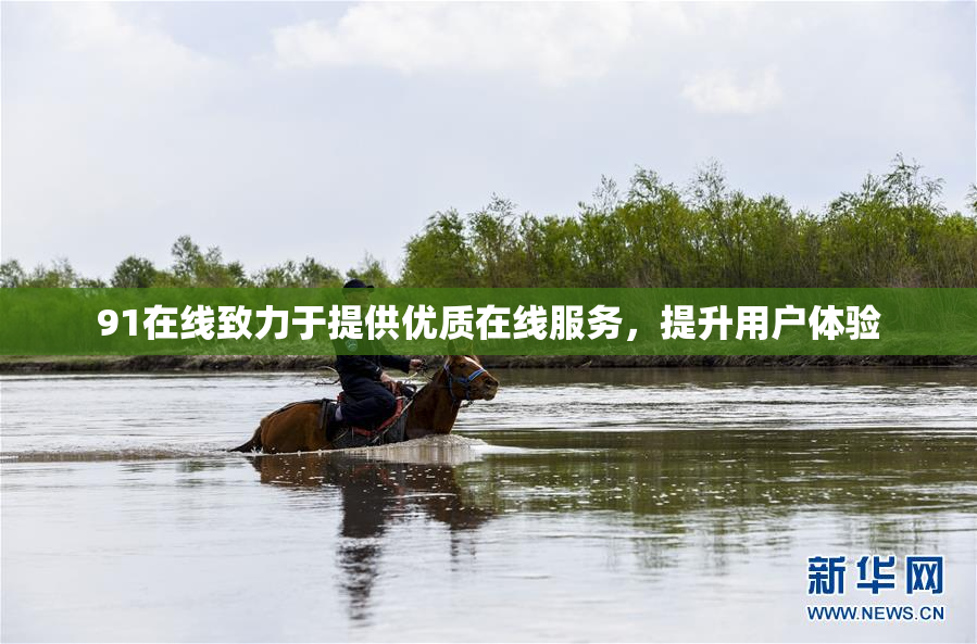 91在线致力于提供优质在线服务，提升用户体验