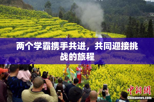 两个学霸携手共进，共同迎接挑战的旅程