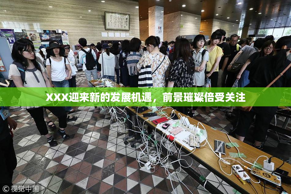 XXX迎来新的发展机遇，前景璀璨倍受关注