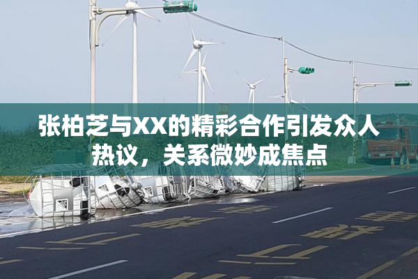 张柏芝与XX的精彩合作引发众人热议，关系微妙成焦点
