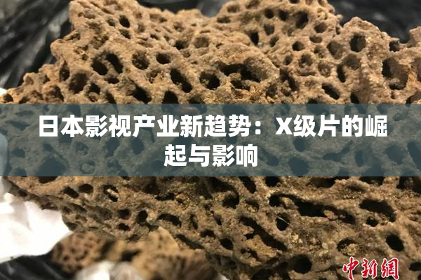 日本影视产业新趋势：X级片的崛起与影响