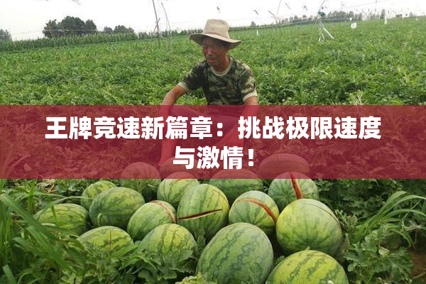 王牌竞速新篇章：挑战极限速度与激情！