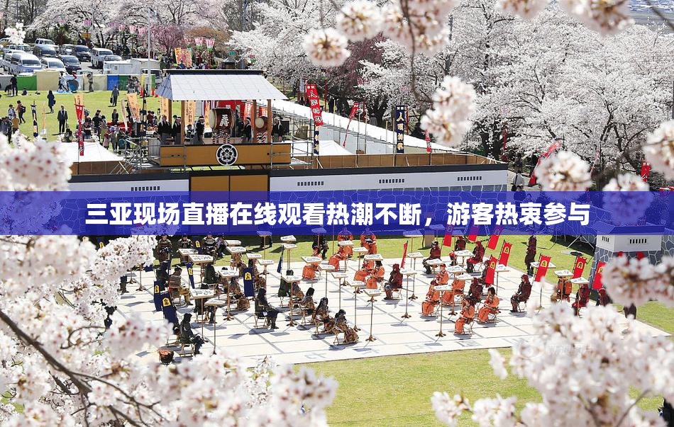 三亚现场直播在线观看热潮不断，游客热衷参与