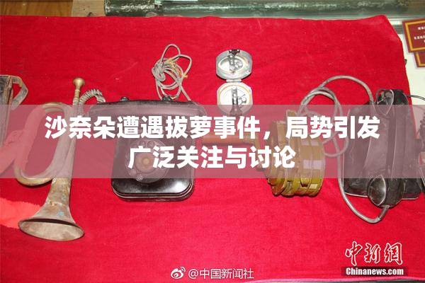 沙奈朵遭遇拔萝事件，局势引发广泛关注与讨论