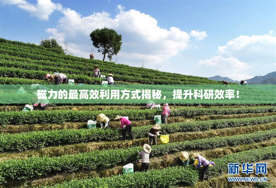 磁力的最高效利用方式揭秘，提升科研效率！