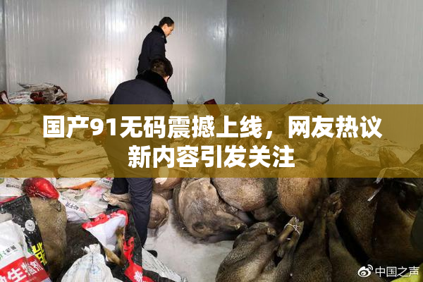 国产91无码震撼上线，网友热议新内容引发关注
