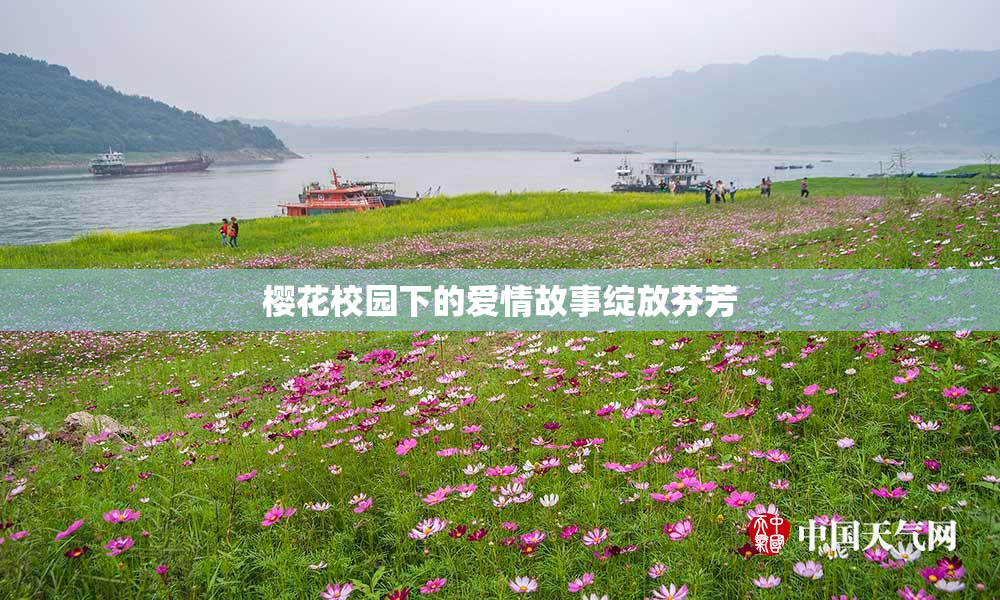 樱花校园下的爱情故事绽放芬芳
