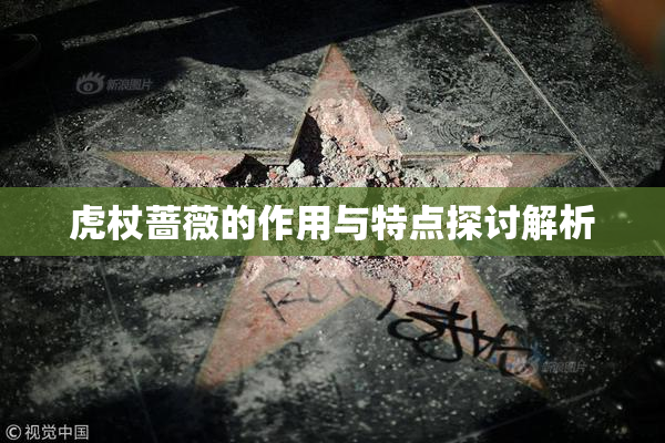 虎杖蔷薇的作用与特点探讨解析