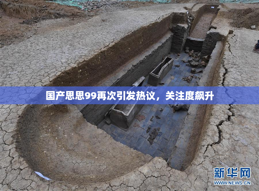 国产思思99再次引发热议，关注度飙升