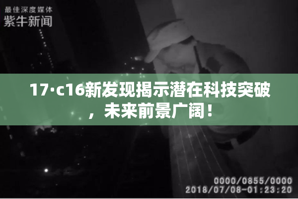 17·c16新发现揭示潜在科技突破，未来前景广阔！