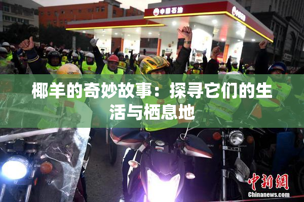 椰羊的奇妙故事：探寻它们的生活与栖息地
