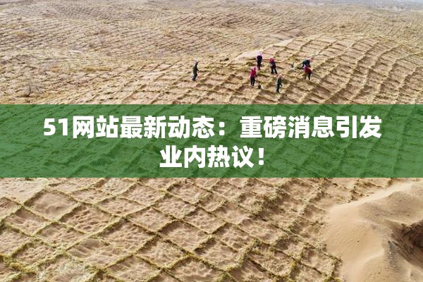 51网站最新动态：重磅消息引发业内热议！