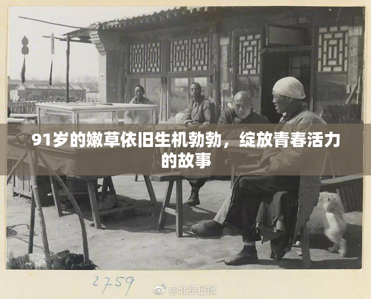 91岁的嫩草依旧生机勃勃，绽放青春活力的故事