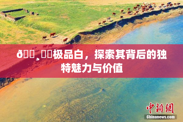 🌸‌✿极品白，探索其背后的独特魅力与价值