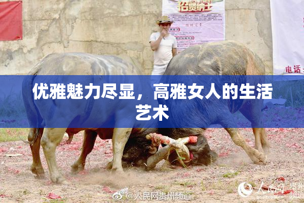 优雅魅力尽显，高雅女人的生活艺术