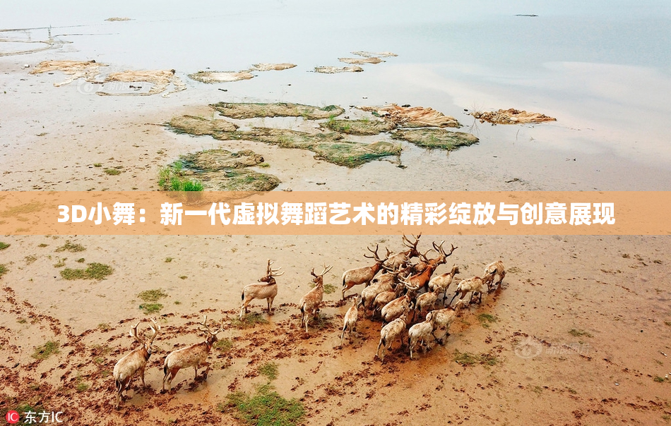 3D小舞：新一代虚拟舞蹈艺术的精彩绽放与创意展现