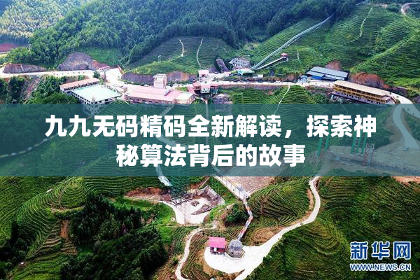 九九无码精码全新解读，探索神秘算法背后的故事